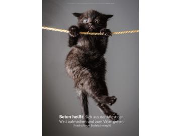 Christliches Poster A3: An Seil hängendes Kätzchen