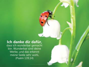 Christliches Poster A4 - Marienkäfer auf Maiglöckchen