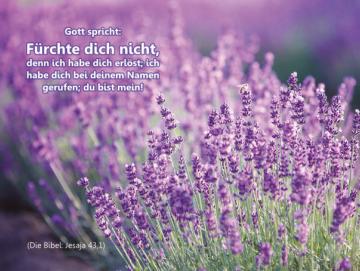 Christliches Poster A3: Lavendelblüten
