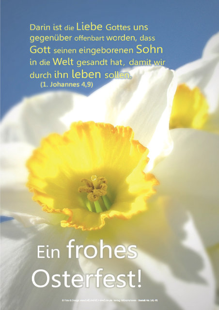 Poster Ostern A1 - Narzissenblüte II - Osterposter