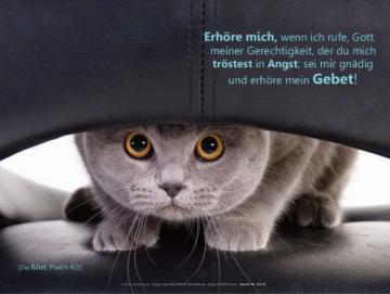 Poster A4: Katze auf Ledersessel - Psalm 4,2