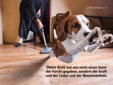 Poster A3 - Flüchtender Hund