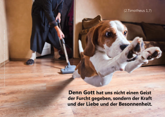 Poster A4 - Flüchtender Hund