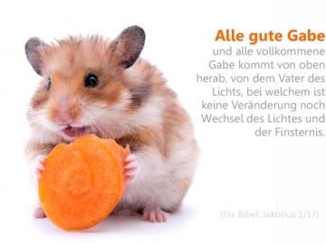 Poster DIN A4 - Hamster mit Karotte