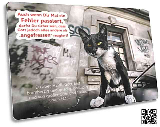Christliche Postkarte: Schwarz-weiße Straßenkatze - Psalm 86,1