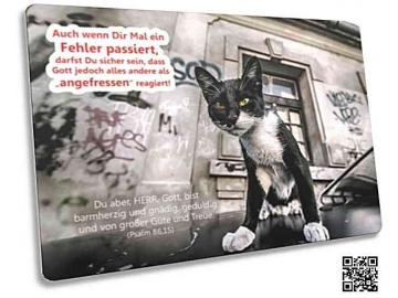 Postkarte: Schwarz-weiße Straßenkatze
