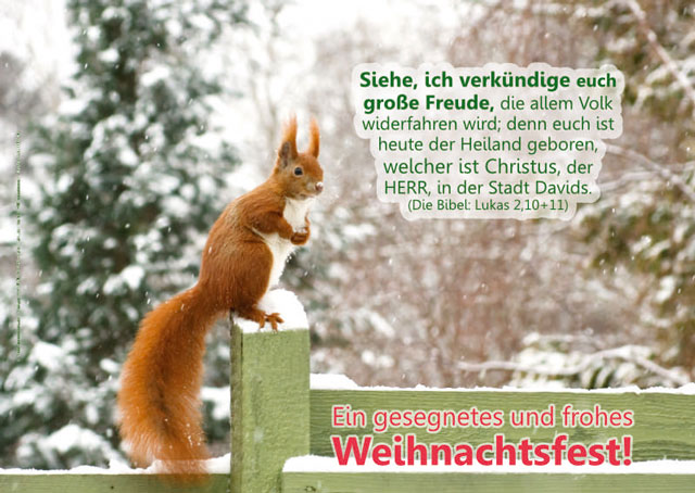 Poster Weihnachten A1: Eichhörnchen