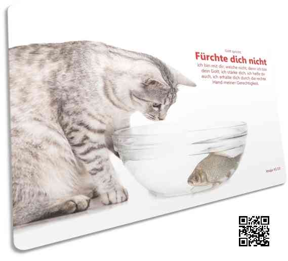 Christliche Postkarte: Katze beobachtet Fisch in Wasserschale - Bibelvers Jesaja 41,10