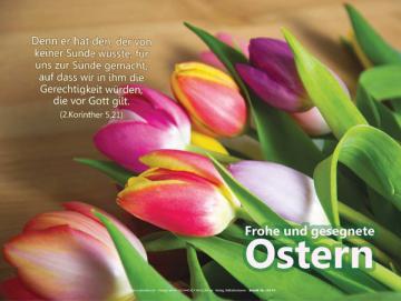 Poster A1 Ostern - Oster-Tulpen