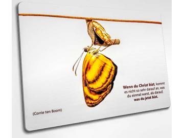 Christliche Postkarte: Frisch geschlüpfter Schmetterling