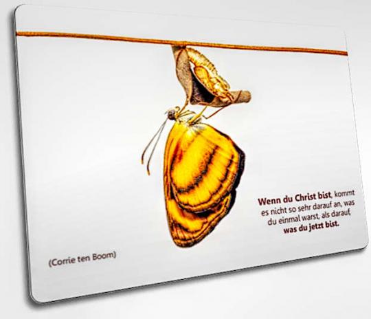 Christliche Postkarte: Frisch geschlüpfter Schmetterling