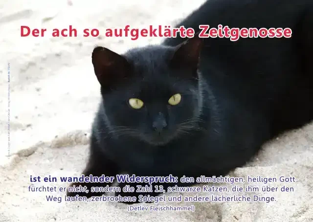 Christliches Poster A2: Schwarze Katze auf Sand