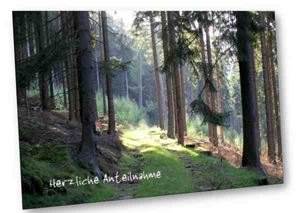 Christliche Trauerkarte: Waldweg im Rothaargebirge