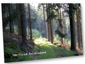 Christliche Trauerkarte: Waldweg im Rothaargebirge