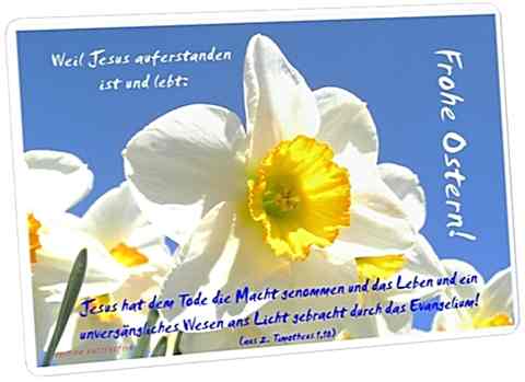 Christliche Osterkarte: Narzissenblüte I