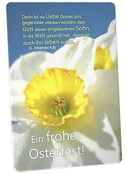 Osterkarte: Narzissenblüte II