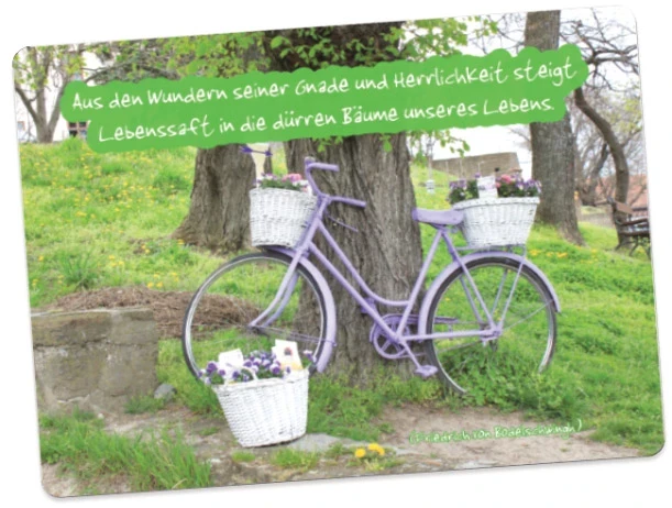 Christliches Poster A1: An Baum gelehntes lila Fahrrad