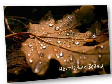 Trauerkarte: Baumblatt mit Regentropfen