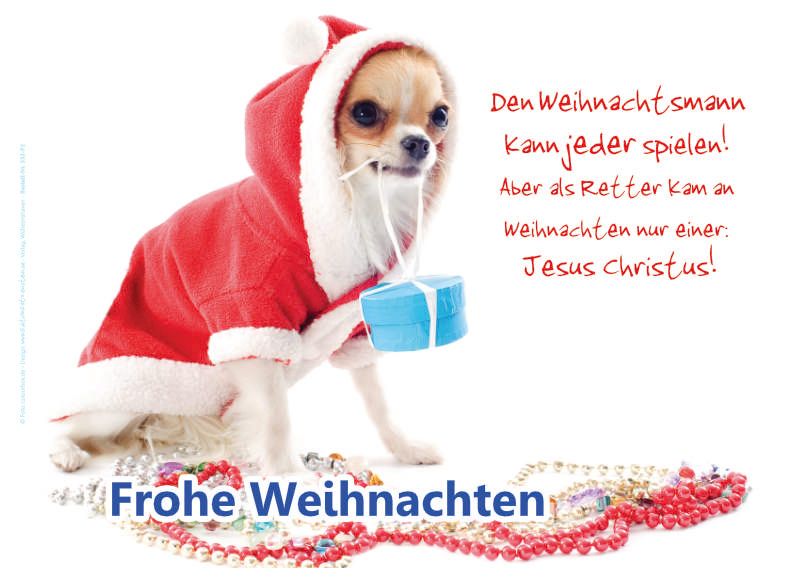 Poster Weihnachten A3: Hündchen im roten Mantel