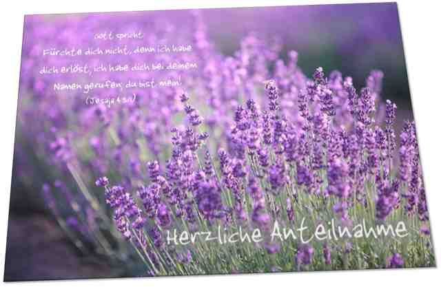 Christliche Trauerkarte: Lavendelblüten