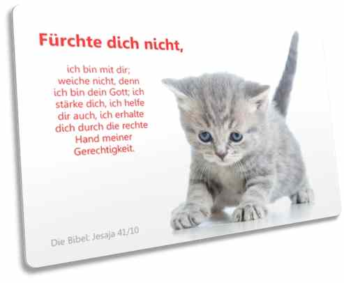 Christliche Postkarte: Ängstliches Kätzchen