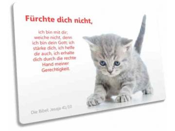 Christliche Postkarte: Ängstliches Kätzchen