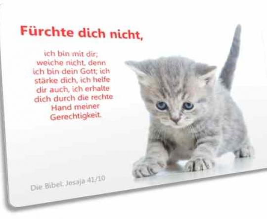 Christliche Postkarte: Ängstliches Kätzchen