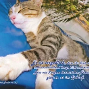 Christliche Poster A4 Set 15 -