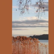Bestatterbedarf: Roll-Up Display Abendstimmung am Plattensee