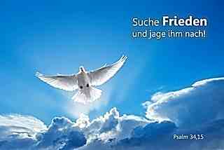 Christliches Plakat A1 - Weiße Taube