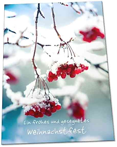 Christliche Weihnachtskarte: Rote Beeren