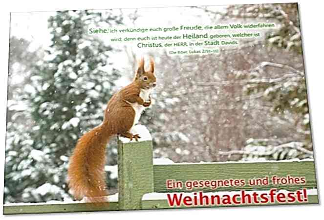 Christliche Weihnachtskarte: Eichhörnchen