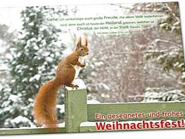 Christliche Weihnachtskarte: Eichhörnchen