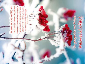 Christliches Poster Weihnachten A4: Rote Beeren