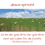 Chrstliche Poster A1 -Set 32 Schaukasten-Plakate