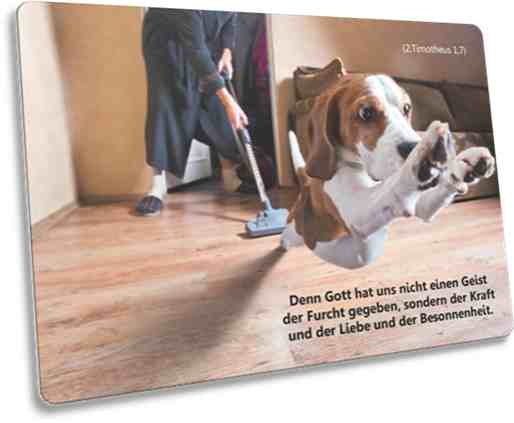 Postkarte Motiv: Flüchtender Hund