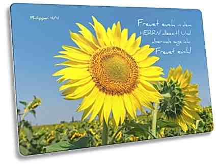Christliche Postkarte Motiv: Sonnenblume - Philipper 4,4