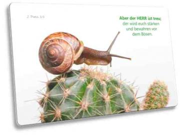 Christliche Postkarte mit Motiv: Schnecke auf Kaktus