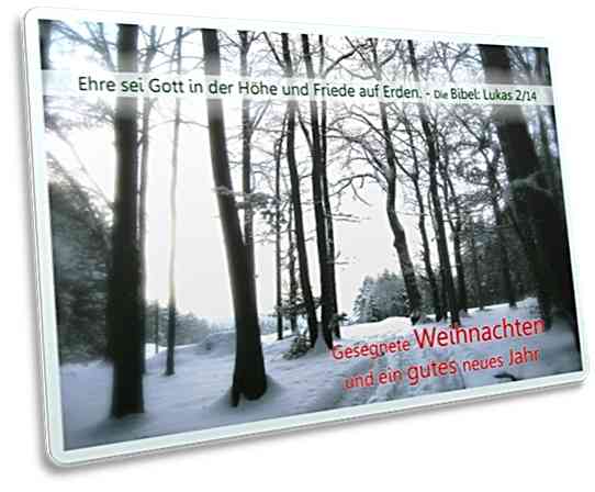 Christliche Weihnachtskarte - Postkarte: Waldlichtung im Gegenlicht