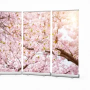 Freigestelltes dreiteiliges Roll-Up Display mit einem durchgehenden, lichtdurchfluteten Kirschblütenmotiv. Das mobile 3er-Set von Edition Katzenstein schafft eine helle, tröstliche Atmosphäre in Trauerhallen, Kapellen und Abschiedsräumen.