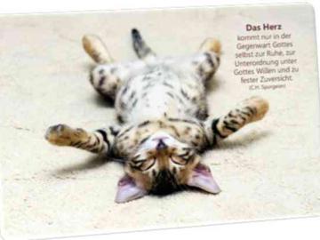 Christliche Postkarte: Katze auf dem Rücken liegend