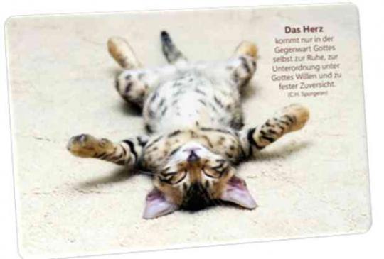 Christliche Postkarte: Katze auf dem Rücken liegend