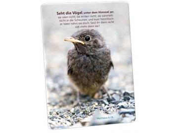 Christliche Postkarte: Kleiner Sperling