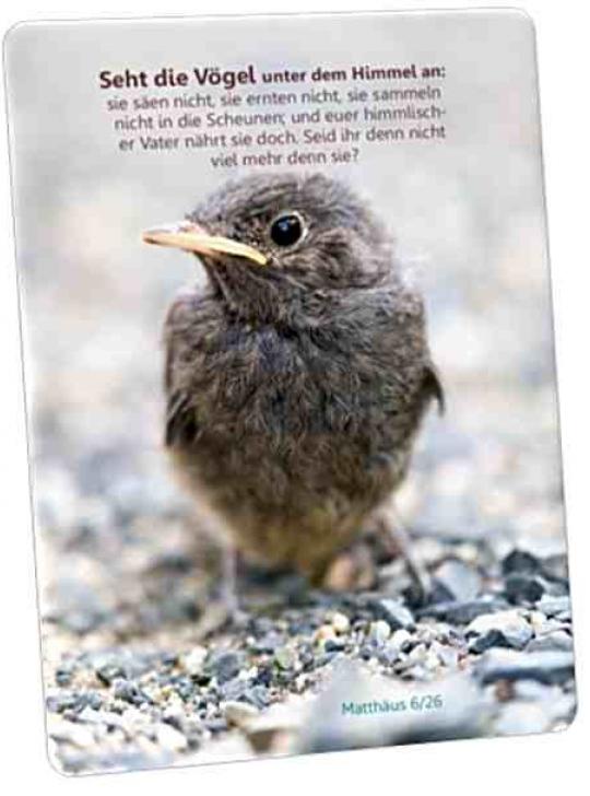 Christliche Postkarte: Kleiner Sperling