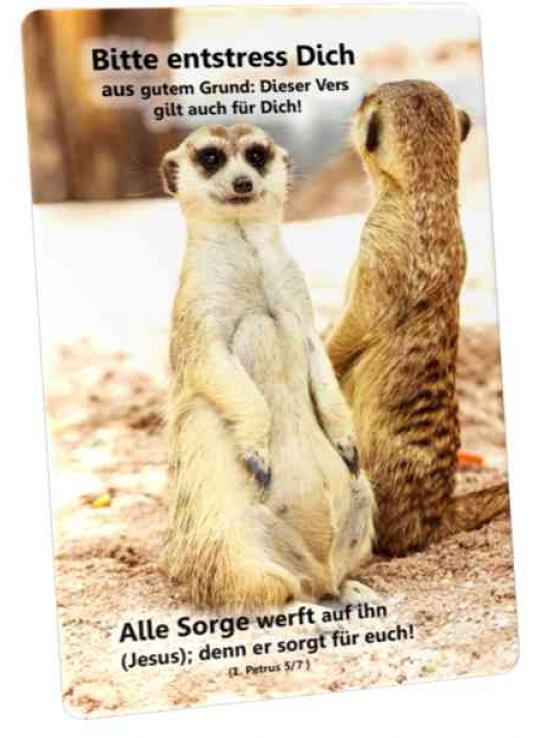 Christliche Postkarte: Erdmännchen in Gegenrichtung schauend - Ermutigung