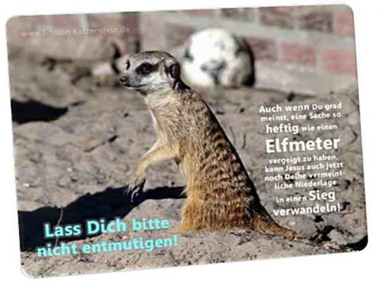 Christliche Postkarte: Erdmännchen vor Fußball - Ermutigung