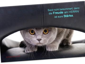 Leinwanddruck: Katze auf Ledersessel