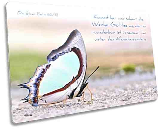 Christliche Postkarte: Bunter Schmetterling