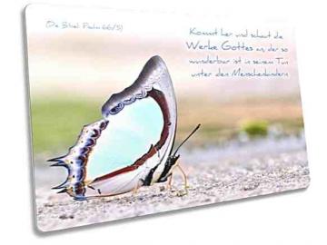Postkarte: Bunter Schmetterling