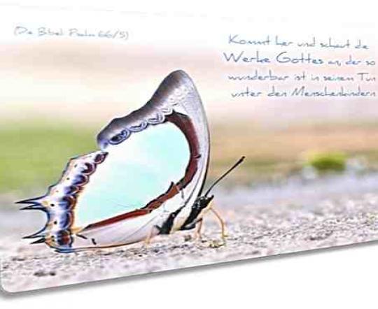 Christliche Postkarte: Bunter Schmetterling